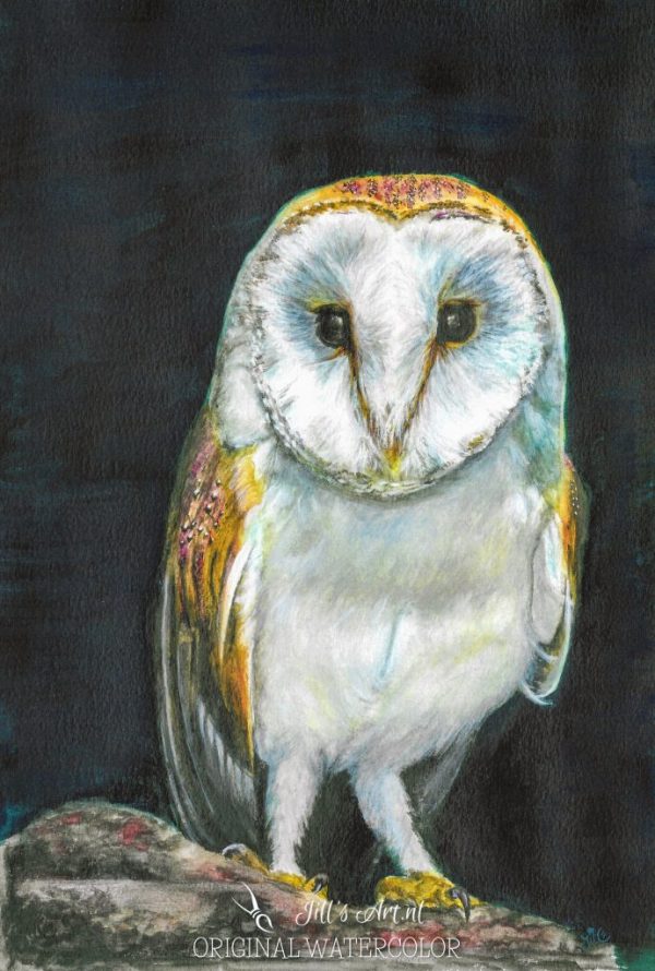 JillsArt